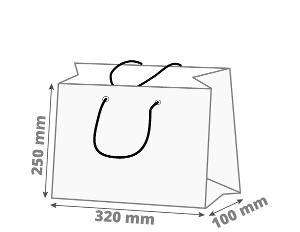 Poklon vrećica: 320x100x250 mm (D0)