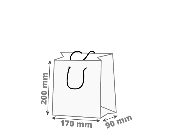Poklon vrećica: 170x90x200 mm (D1)
