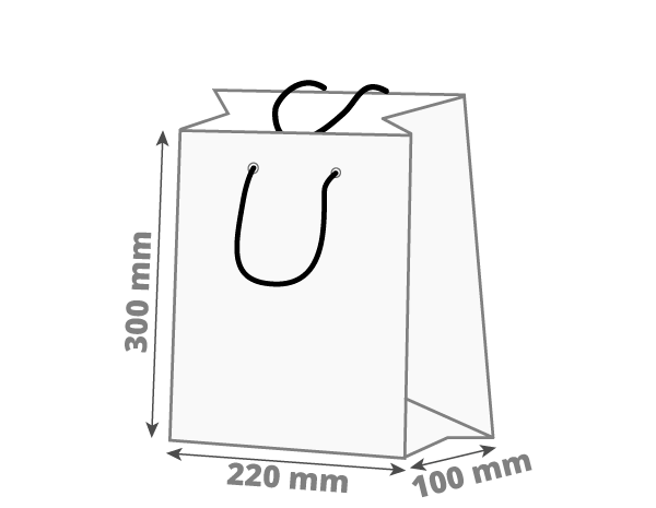 Poklon vrećica: 220x100x300 mm (D1)
