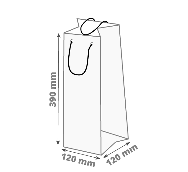 Poklon vrećica za boce: 120x120x390 mm (D1X)
